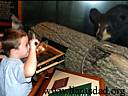 Thumbnail of 30.jpg